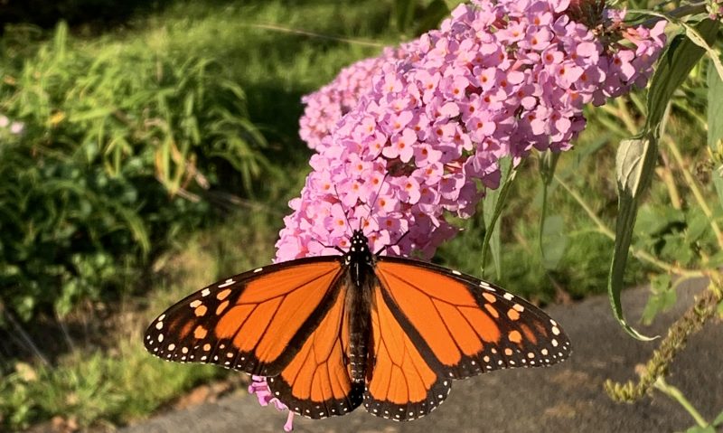 Thoughts from 23rd Street