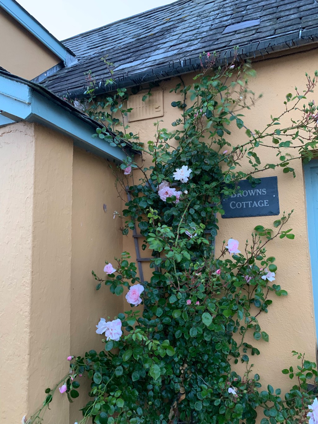 Friday June 10/Day 6: Trim, Dunbrody, Annestown — and a&nbsp;reprieve