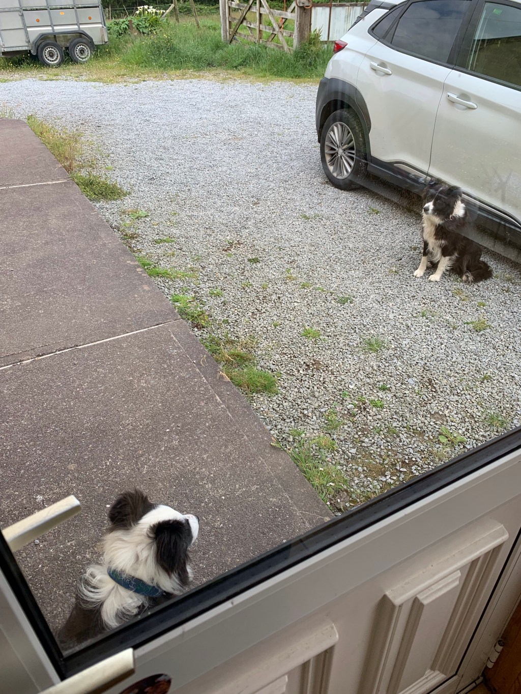 Sunday June 12/Day 8: Slea Head Drive and&nbsp;Dingle